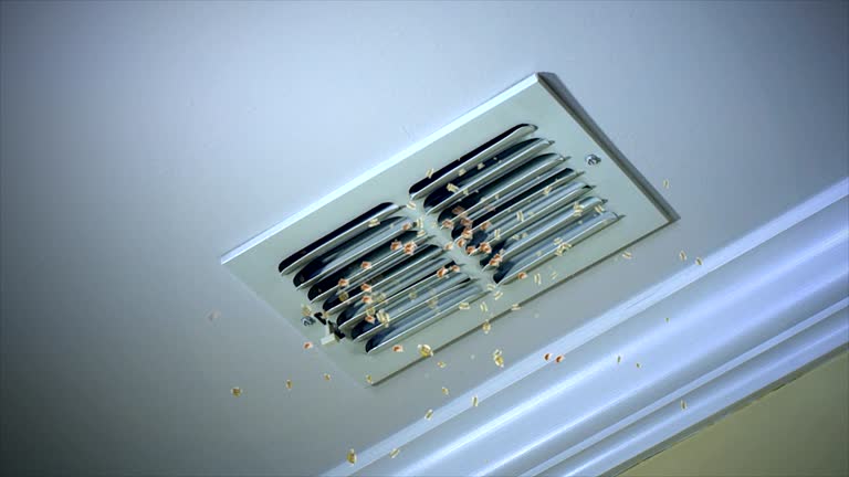 Best Professional Duct Cleaning Services  in Forest Park, GA